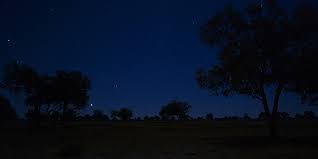 Nuit de brousse.
